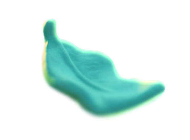 banner-left-leaf